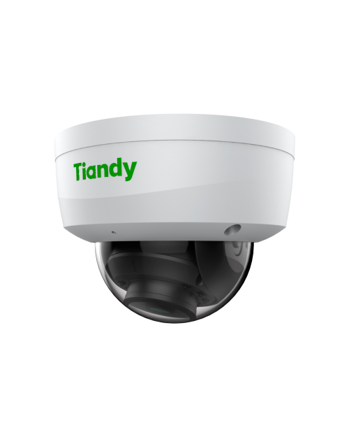 Tiandy 2Мп уличная купольная IP-камера 2.8мм, 512Гб слот SD - фото 1